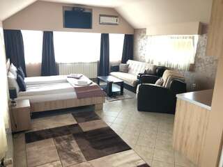 Апартаменты Apartmani Zecevic Niksic Никшич Cемейный номер с собственной ванной комнатой-2